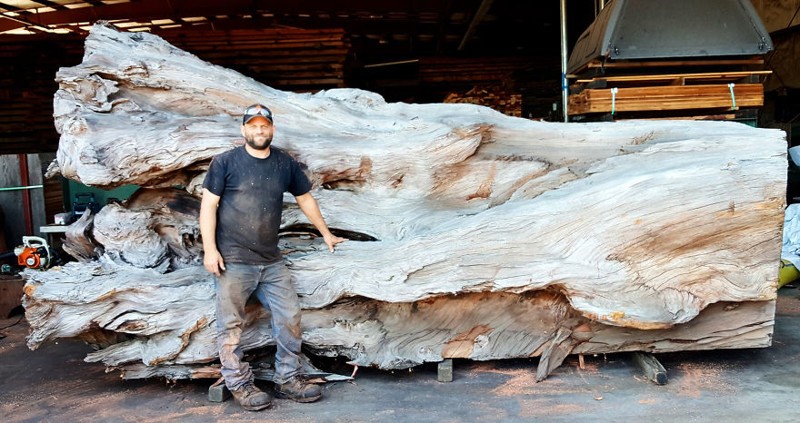 Un cioplitor profesionist în lemn a transformat o bucată de lemn într-o caracatiță uriașă